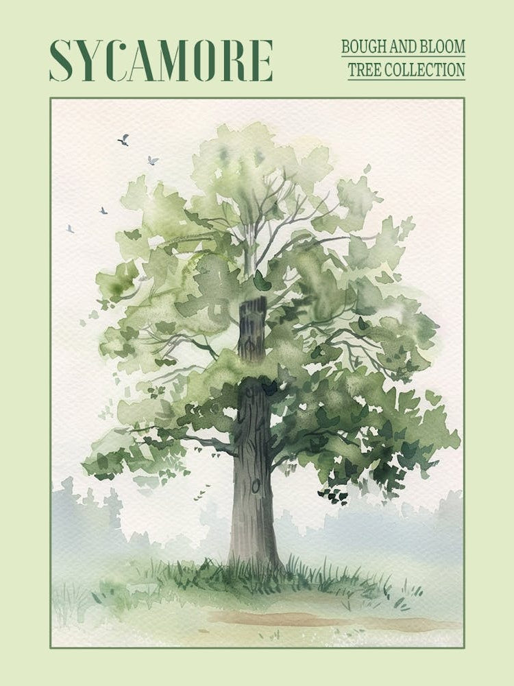 Sycamore Tree Atmospheric Watercolour Painting 1 Poster