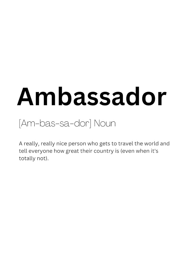 Ambassador Definition Meaning