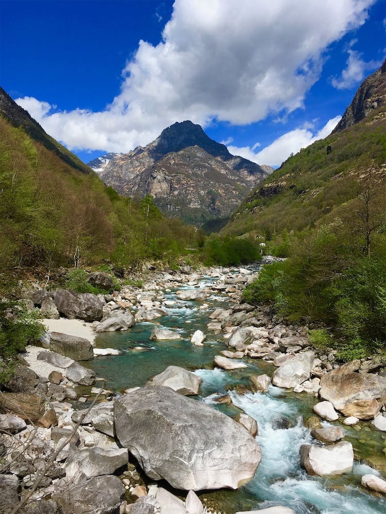Mountain Stream