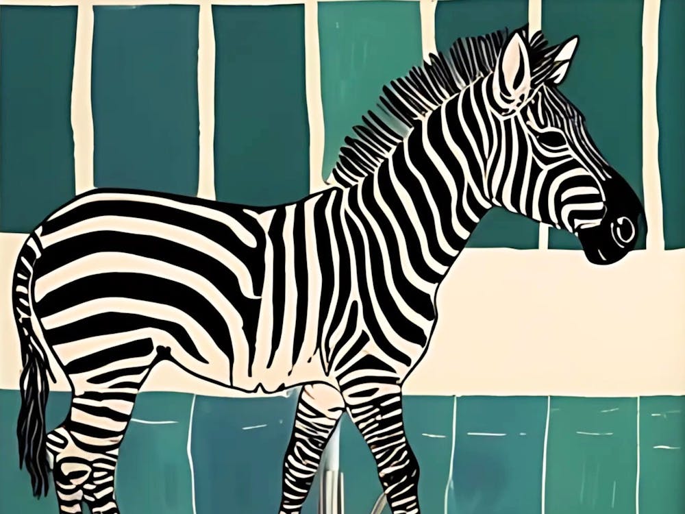 Zebra 1