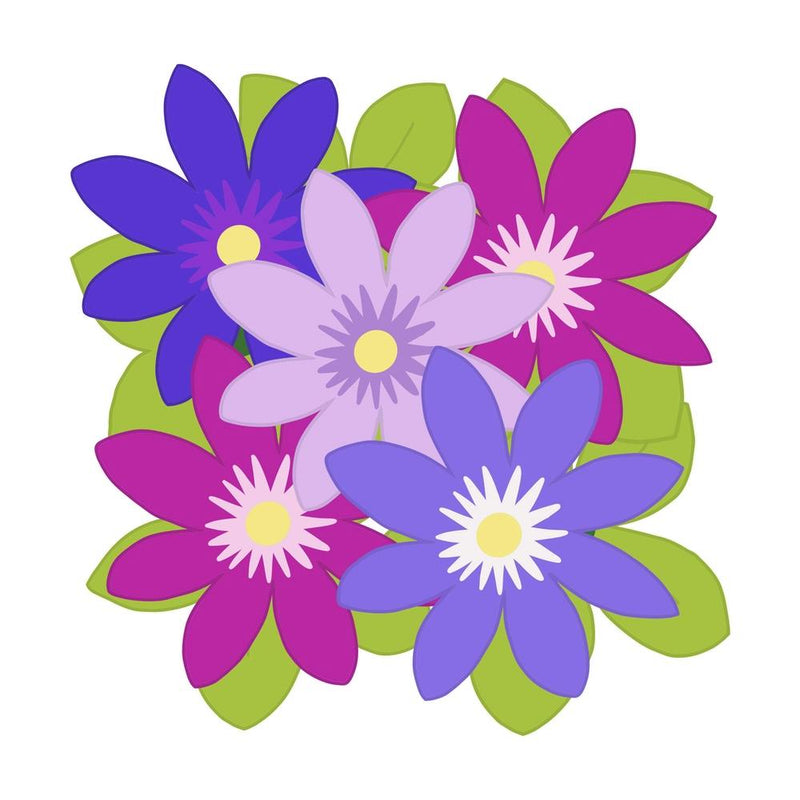 Fleurs de Clématite