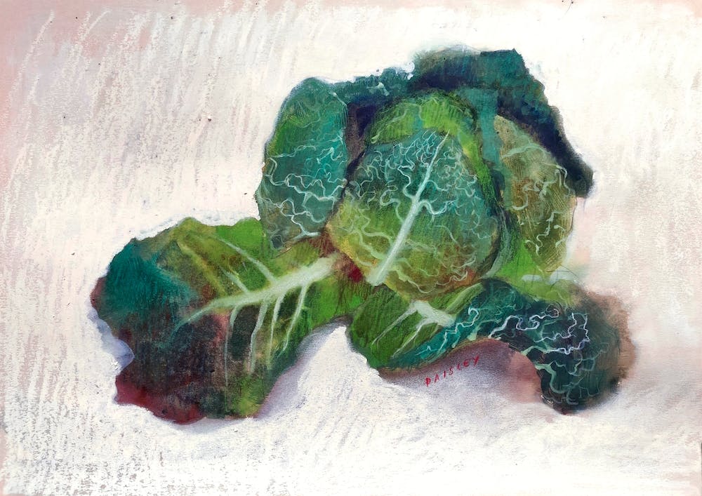 Portrait Of A Savoy Cabbage