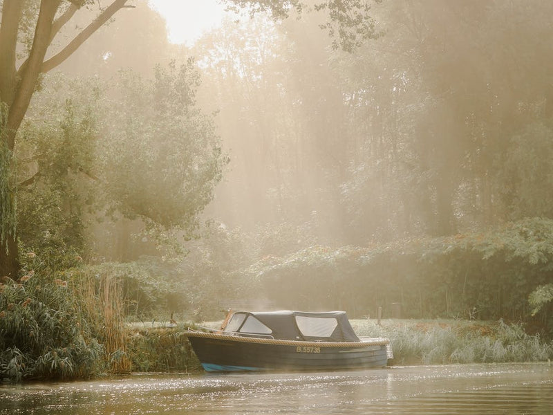 Sunbeams on the Boat