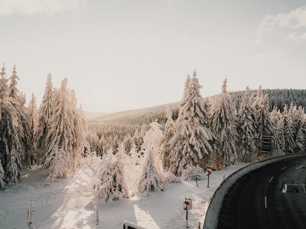 Snowy Winter Roadtrip