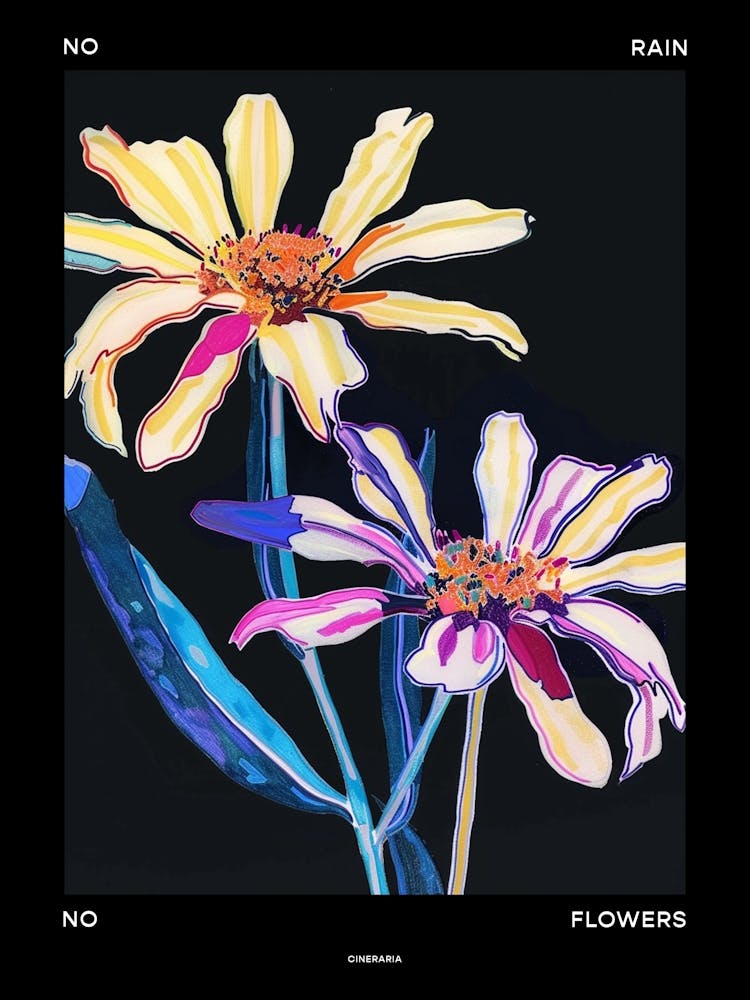 No Rain No Flowers Poster Cineraria 6