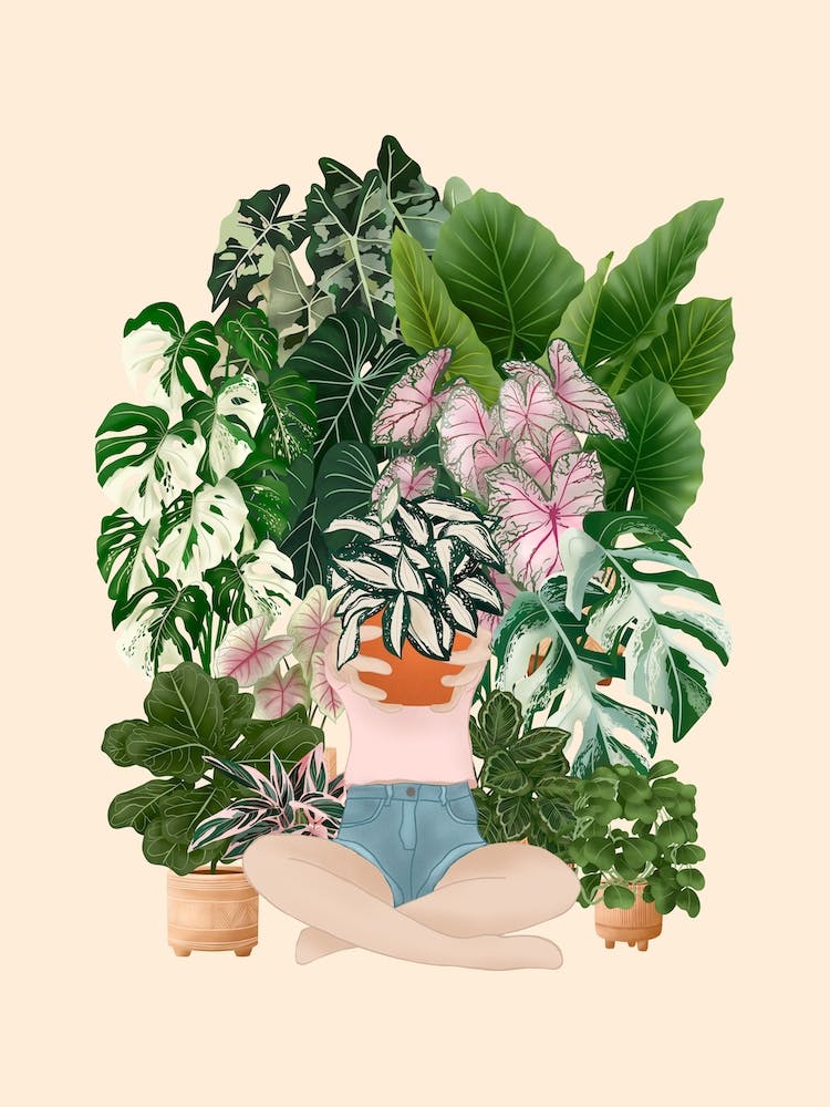 Plant Lady Vibes