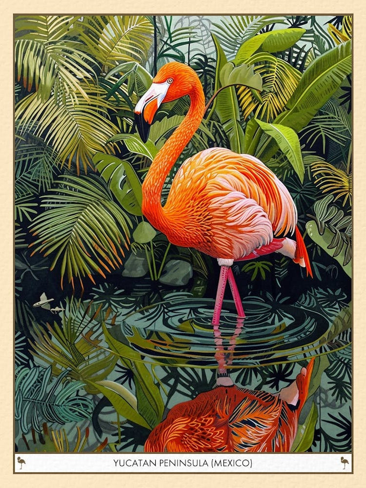 Greater Flamingo Yucatn Peninsula Mexico Tropical Illustration 2 Poster
