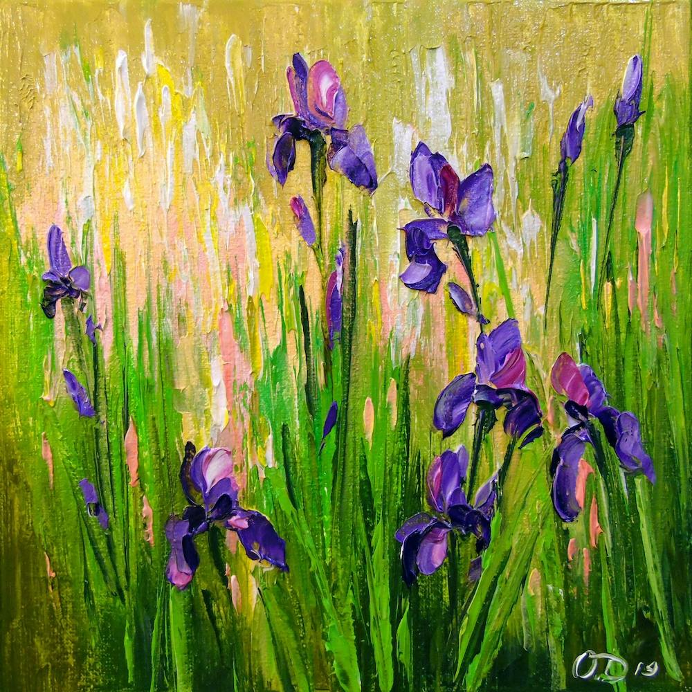 irises