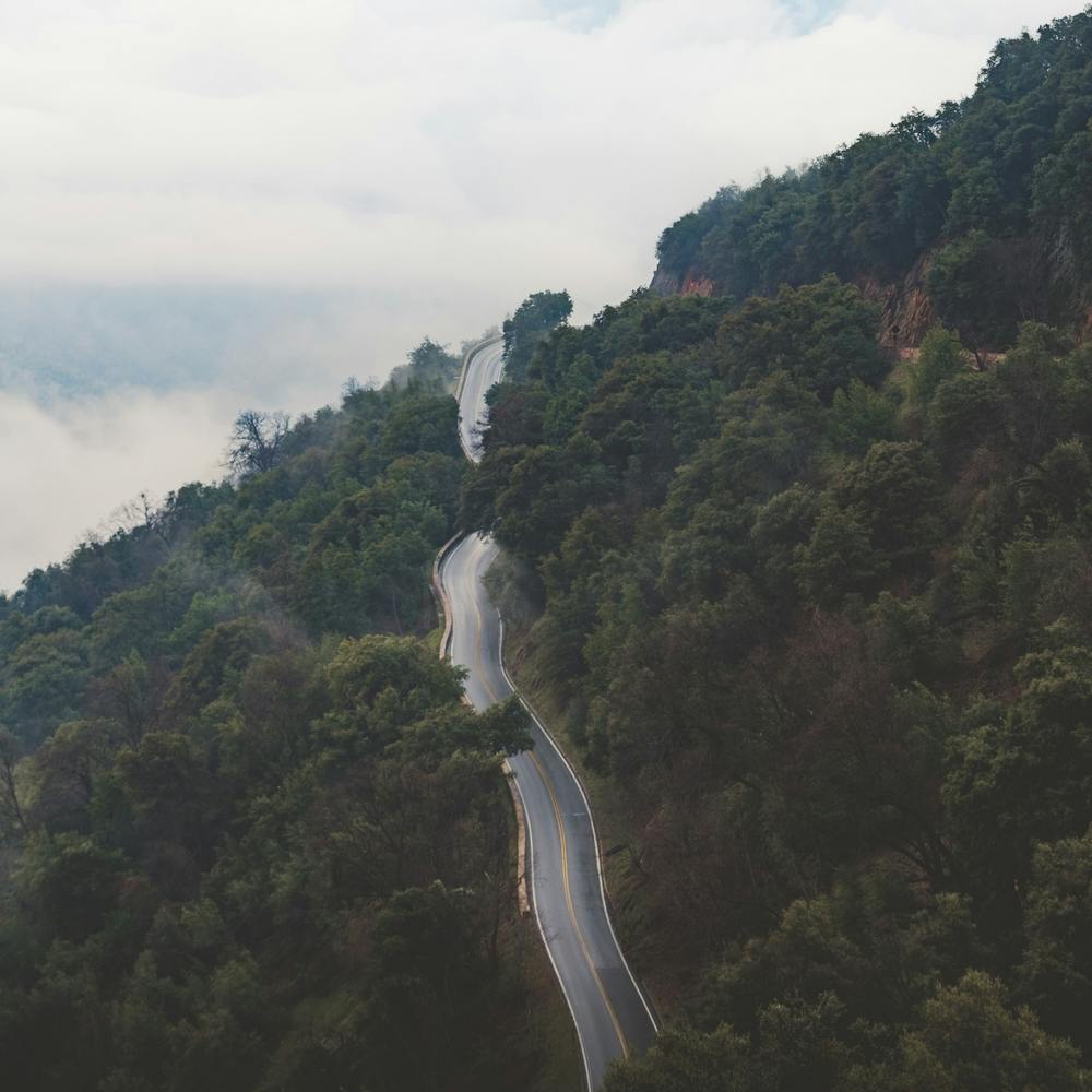 Mountain Mist