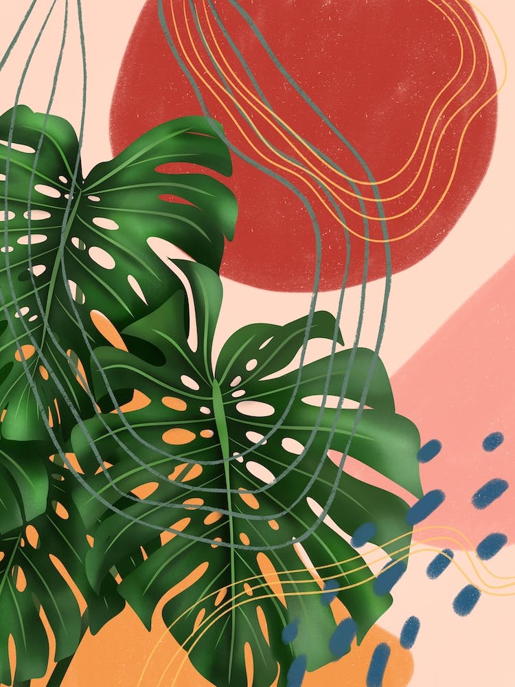 Abstract Monstera Deliciosa 1