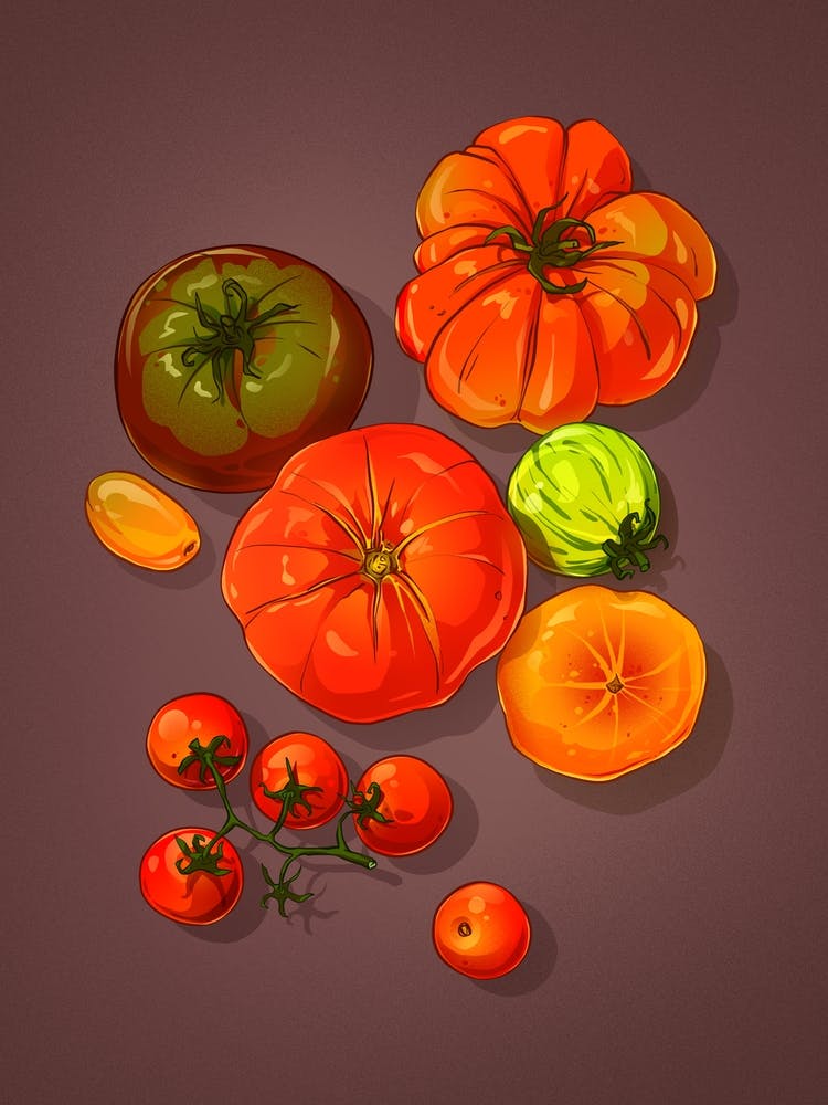 Heritage Tomatoes