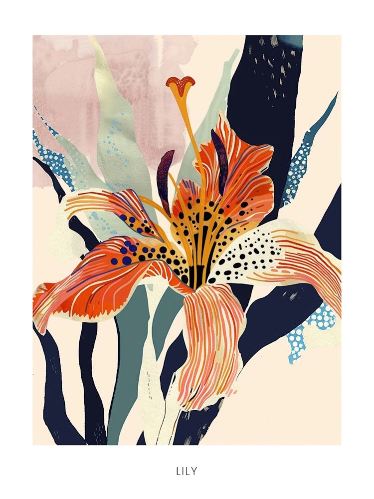 Colourful Flower Illustration Poster Lily 3