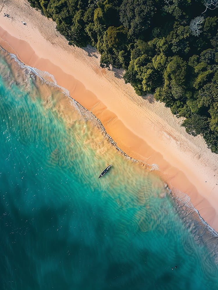 Aerial View Of A Beach 1