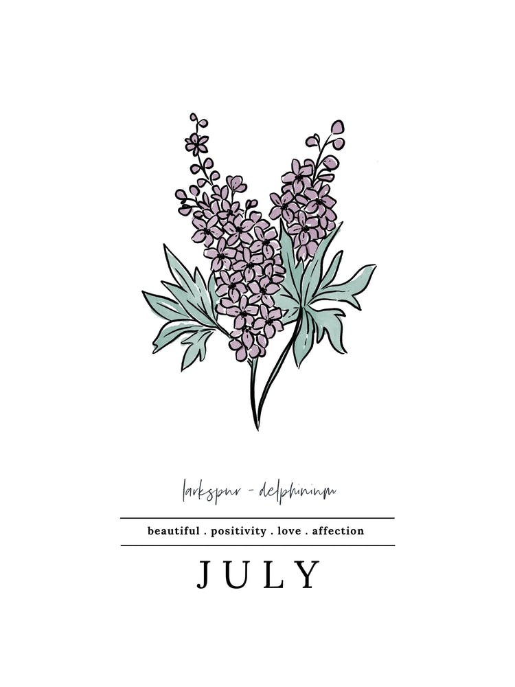 Juli Rittersporn Geburtsblume 2