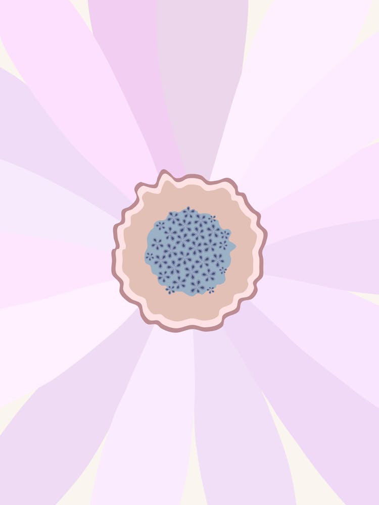 Lilac Daisy