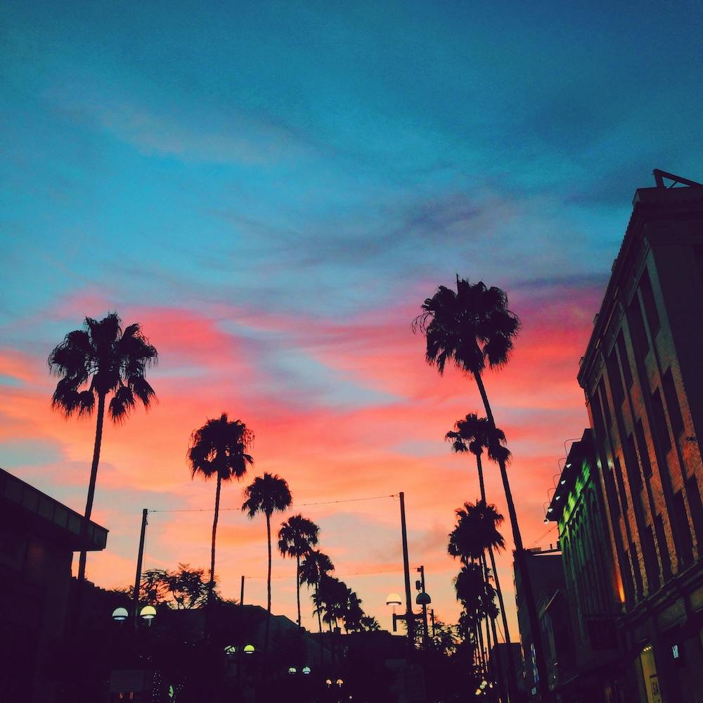 Venice Beach