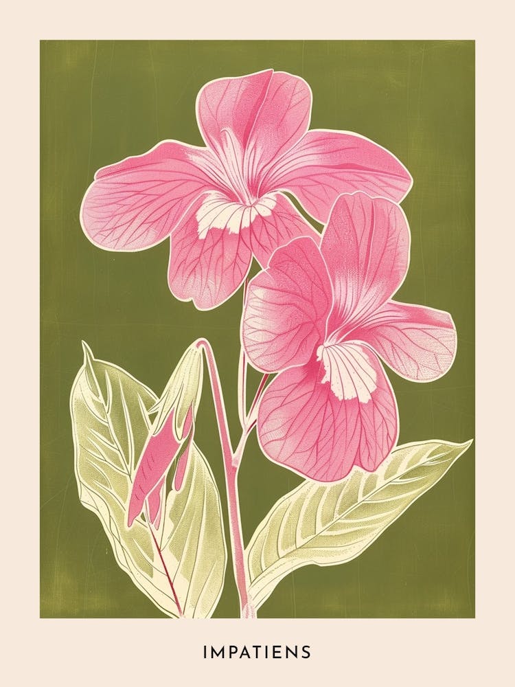 Pink & Green Impatiens 2 Flower Poster