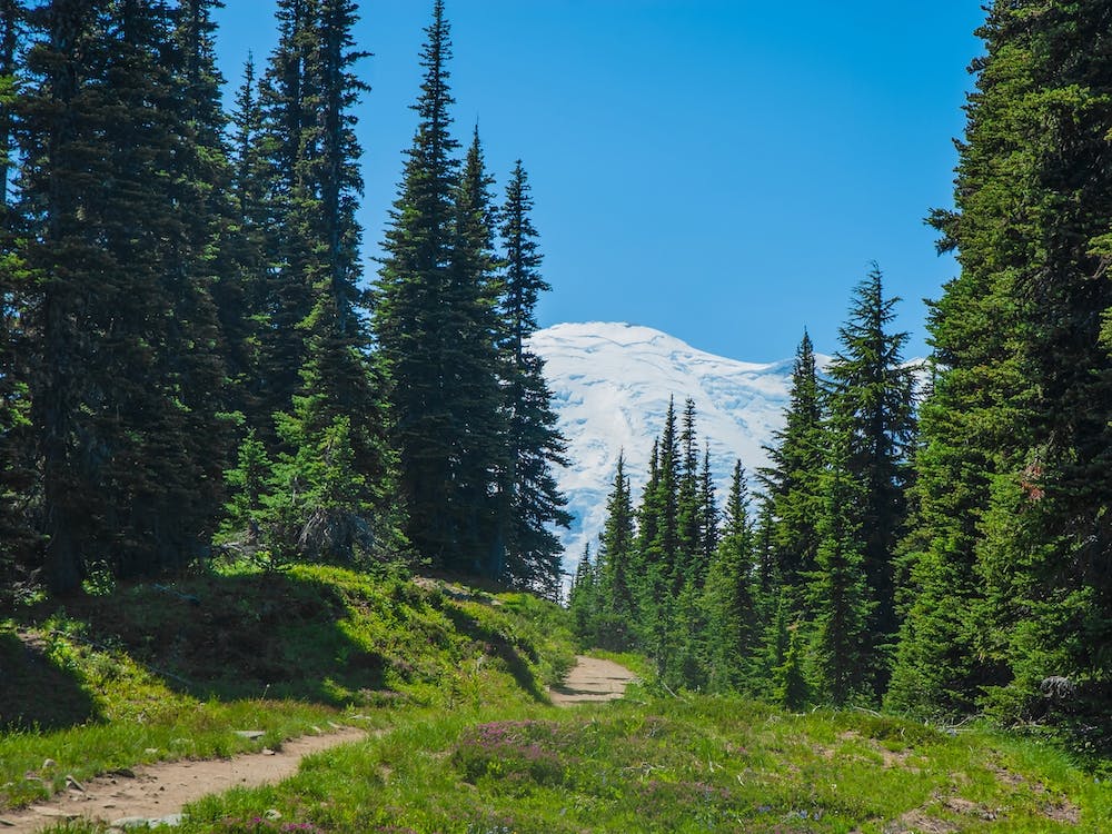 Mt Rainier Sunset Trail