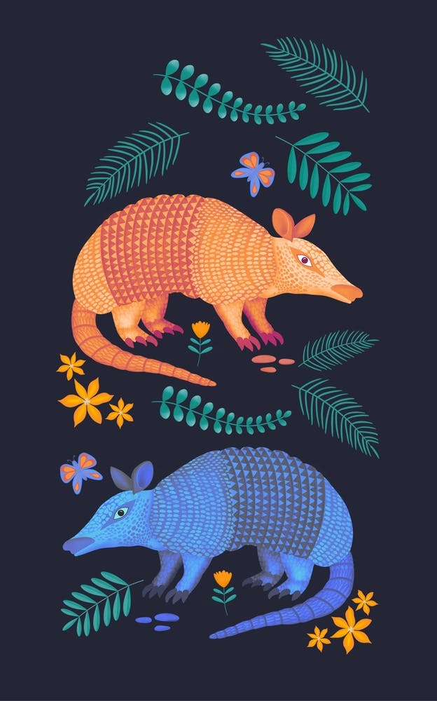 Cute Armadillos