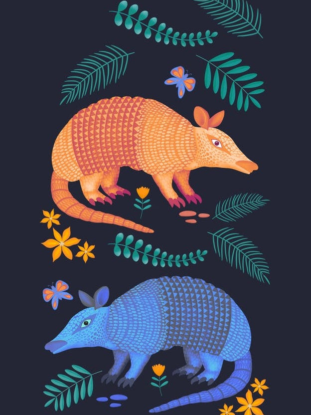 Cute Armadillos