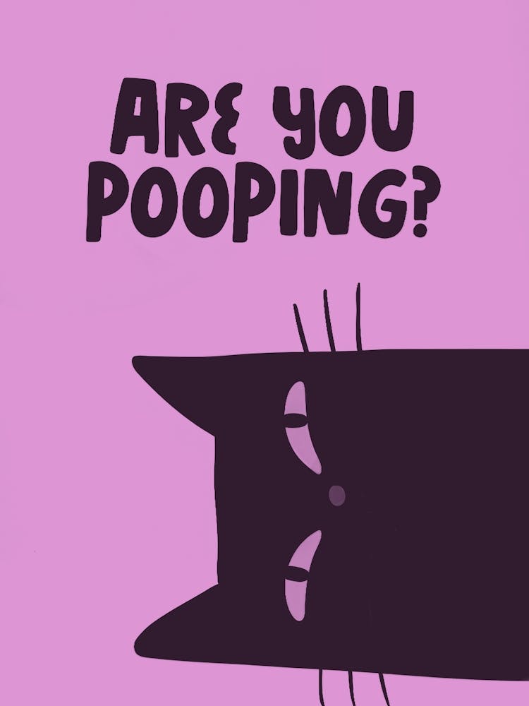 Are You Pooping? Cat