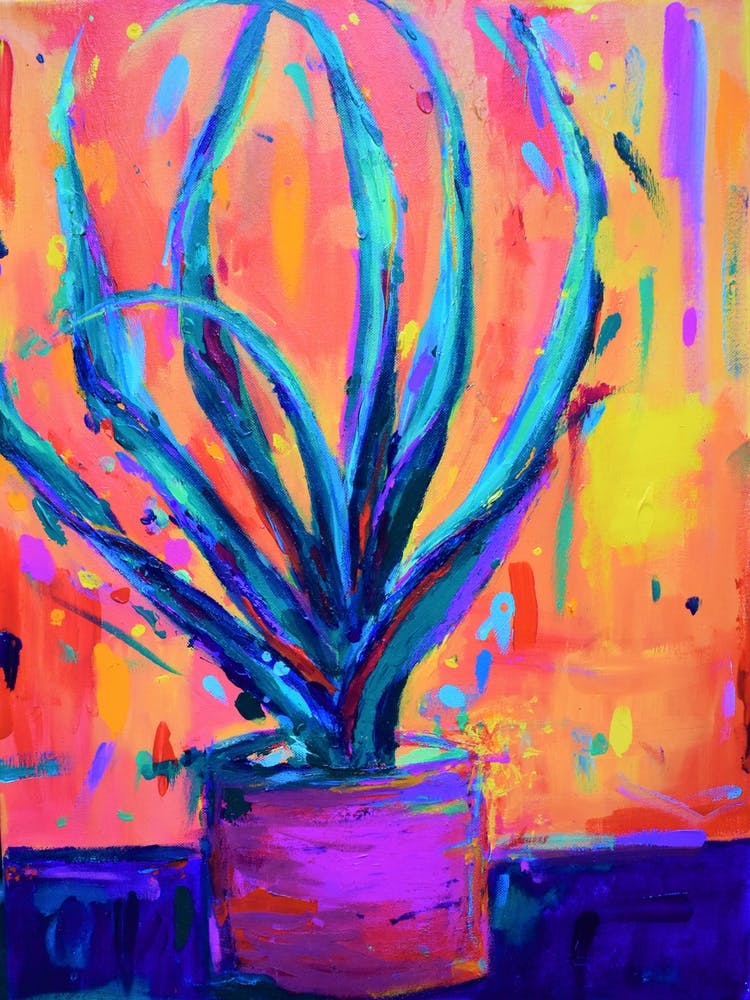 Aloe Vera