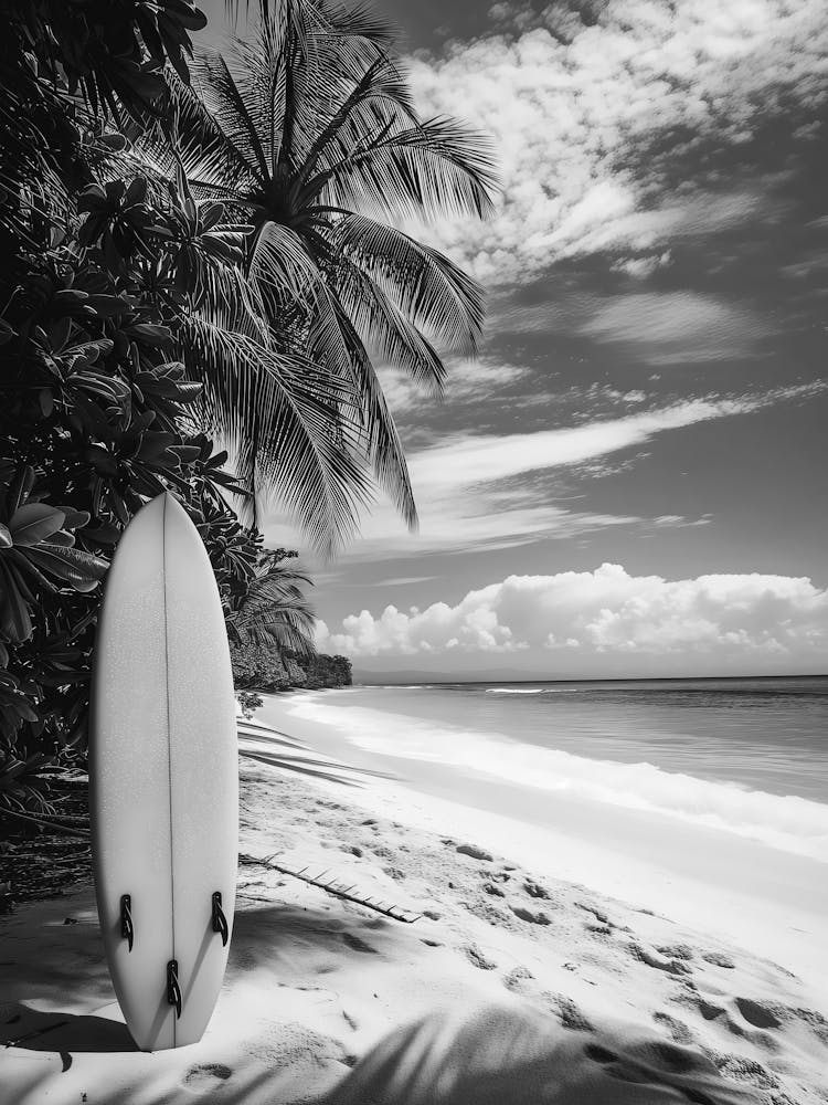 Black And White Surfboard 5