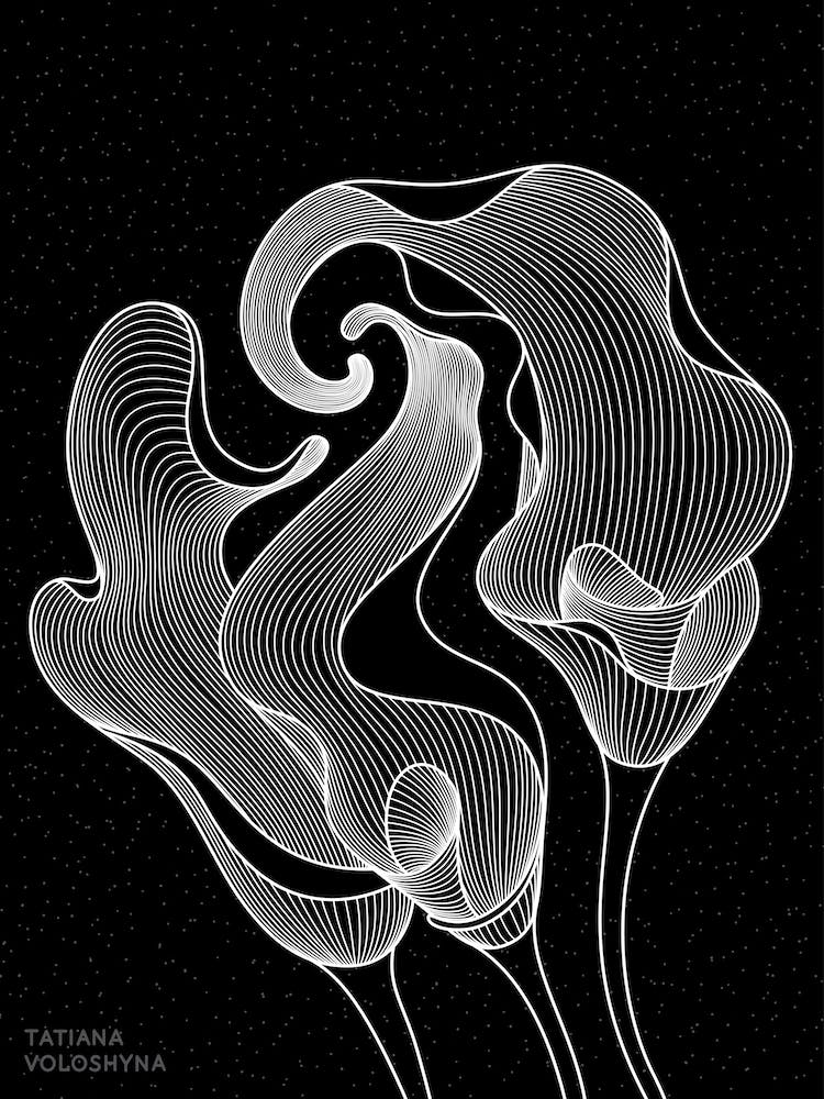 Calla Flowers