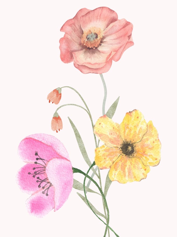 Watercolor Flowers 1