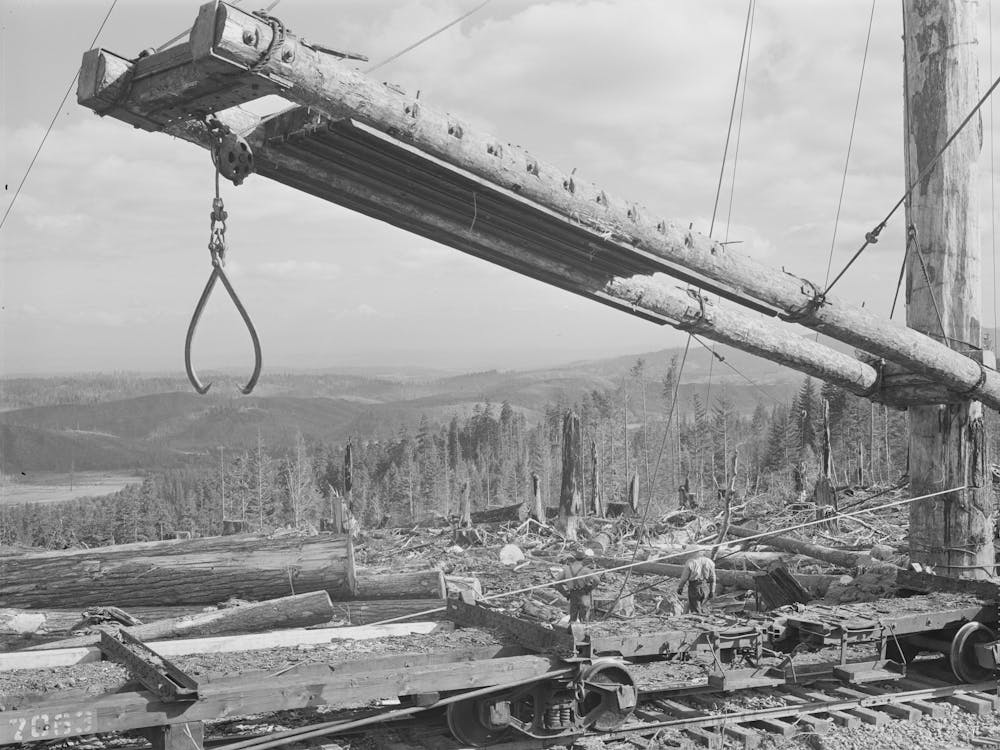 Untitled Photo, Possibly Related To Long Bell Lumber Company, Cowlitz County, Washington,Loading Boom For Swingi