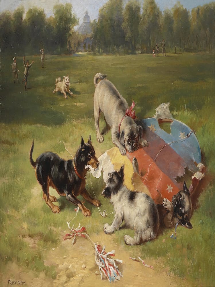 Dogs Playing In The Park