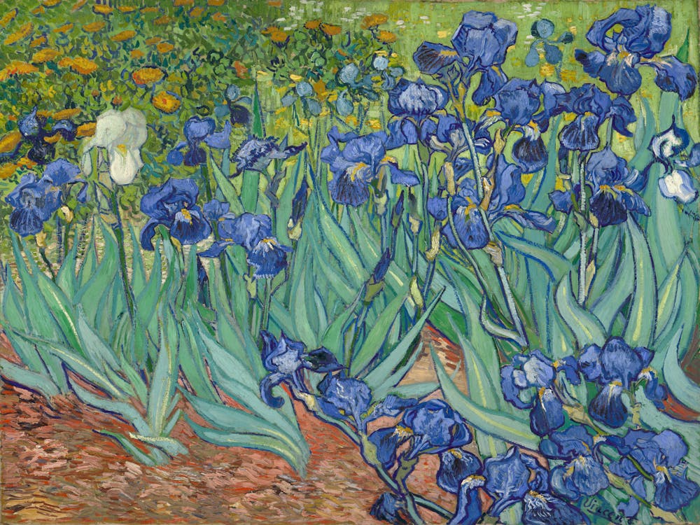 Vincent Van Gogh, Irises, Les Iris, 1889.