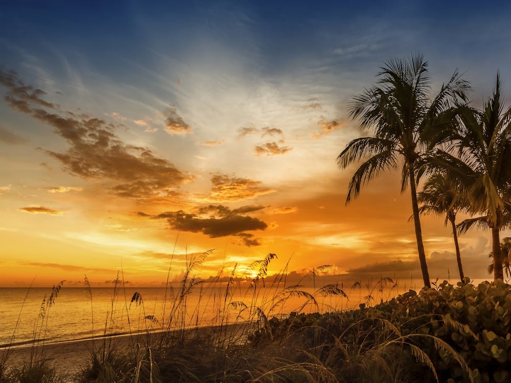 BONITA BEACH Bright Sunset