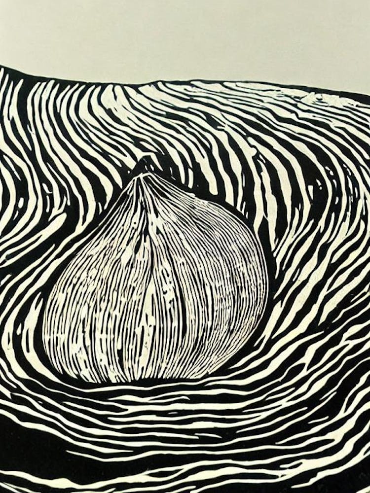 Barnacle Linocut
