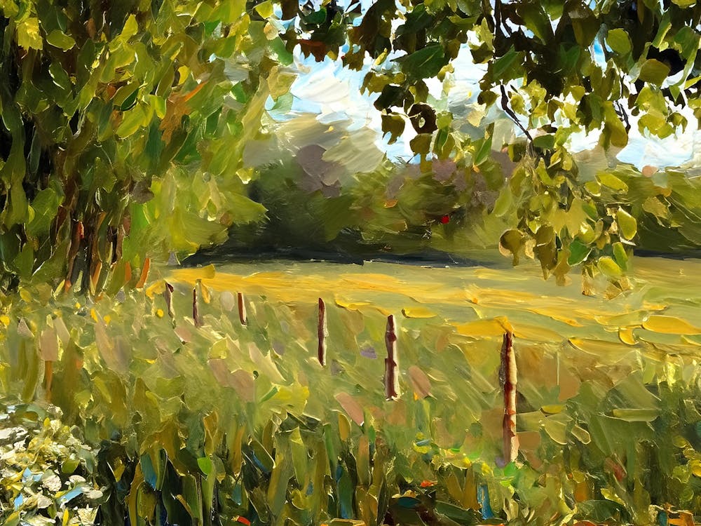 Field Of Flowers