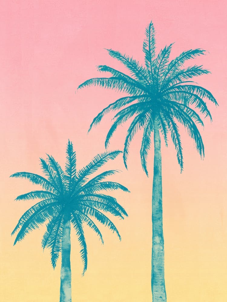 Palm Trees in