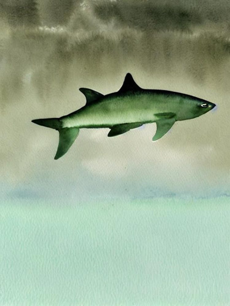 Cookiecutter Shark Storybook Watercolour