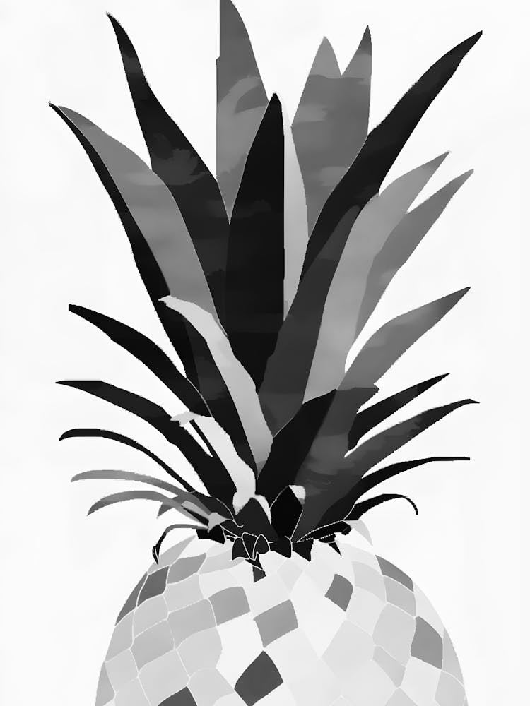 Black And White Pineapple 1