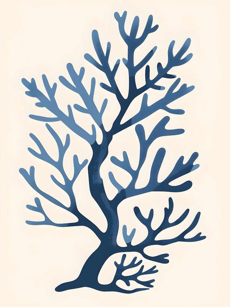 Coral Tree 3