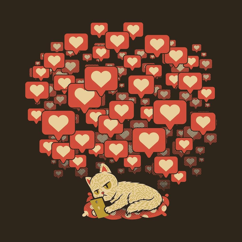 Cat Influencer Dont Care Square