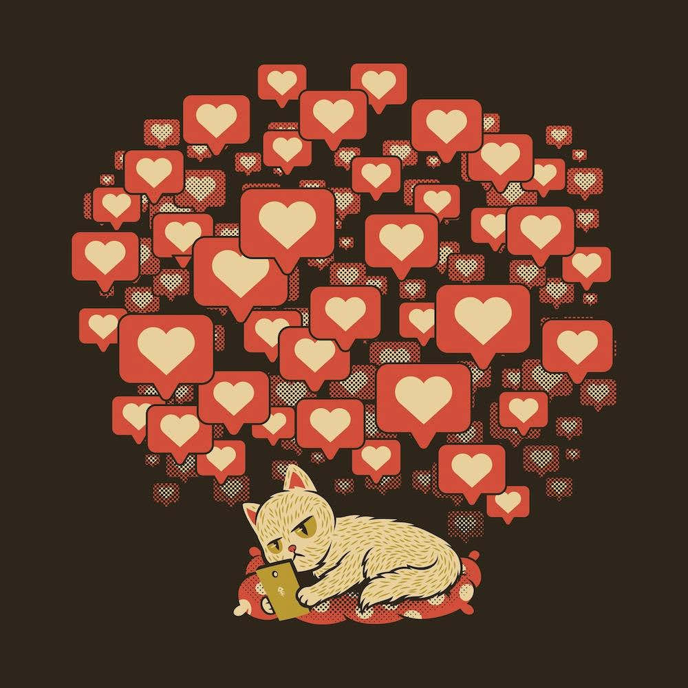 Cat Influencer Dont Care Square