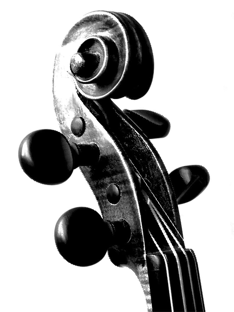 Violin Head Line Art Illustration