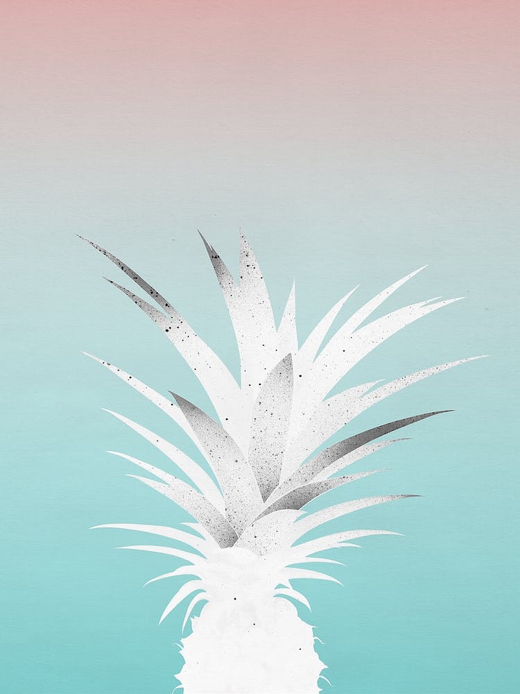 Ananas Comosus