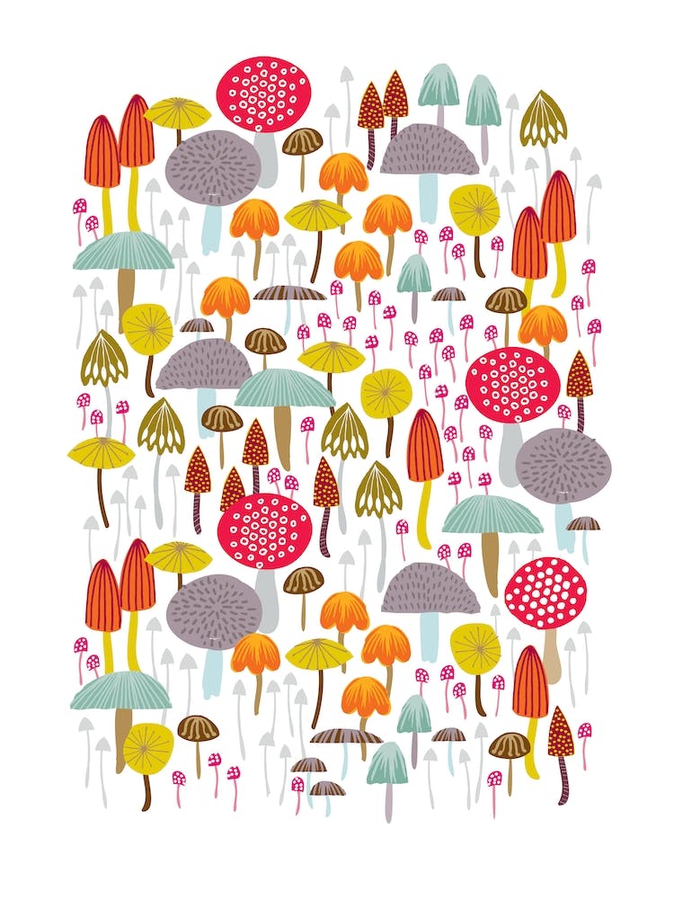 Light Toadstools