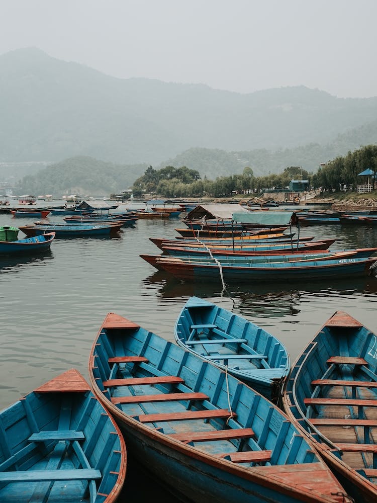 Boats | Pokhara lakeside |Nepal |Travel