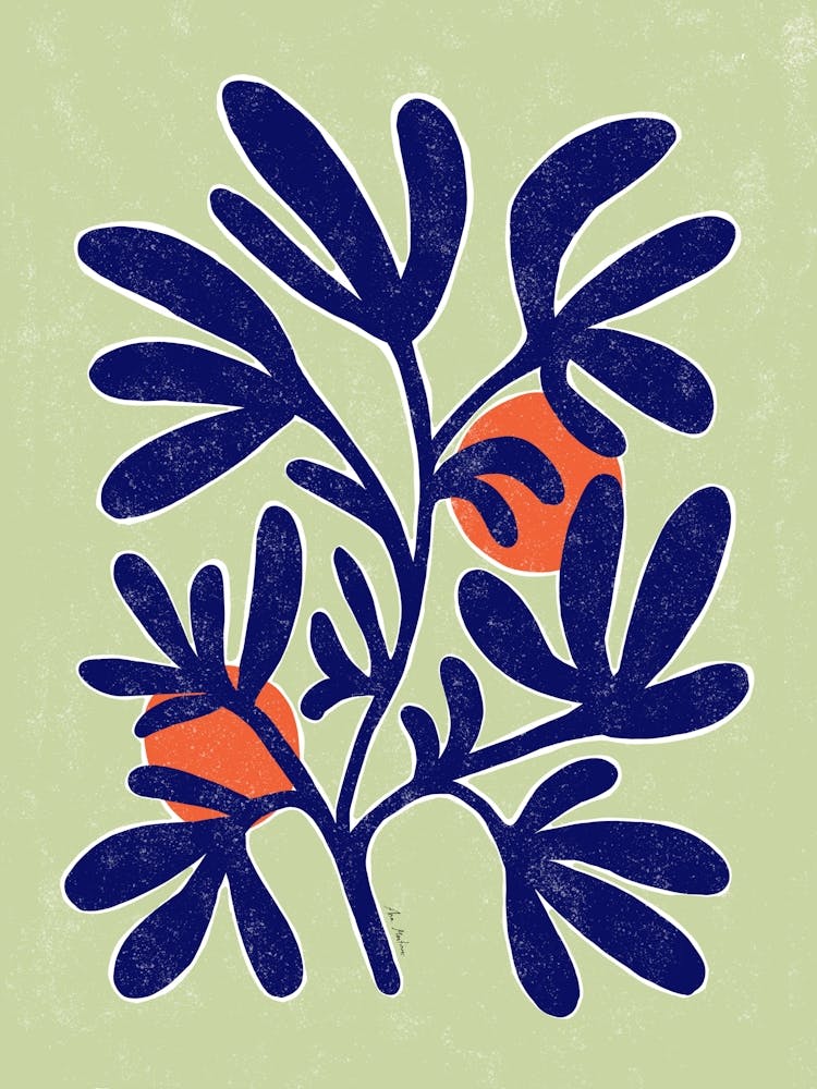 Matisse inspiration