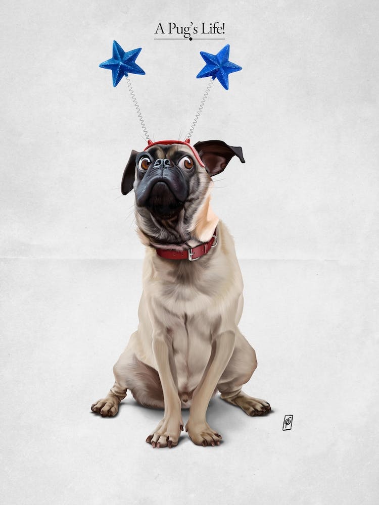 A Pug's Life