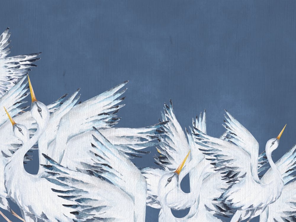 White Cranes 1