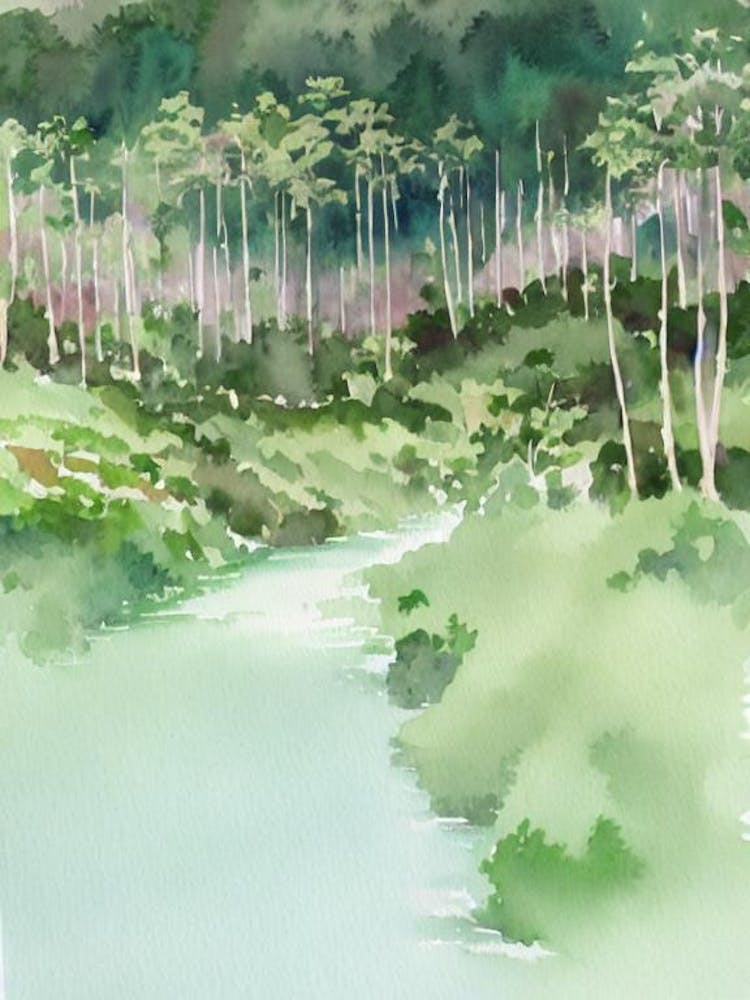 Bwindi Impenetrable National Park Uganda Water Colour Poster