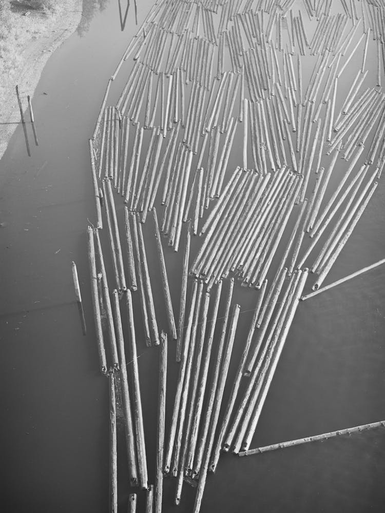 Log Raft In Willamette River, Portland, Oregon By Russell Lee